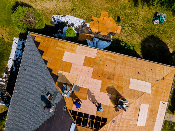 Best Storm Damage Roof Repair  in Lynn, IN