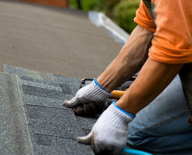 Best Metal Roofing Contractor  in Lynn, IN